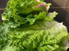 生菜-本家韩国烤肉(财富大厦店)