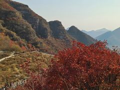 -狼牙山风景区