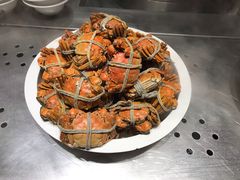 -张江海科雅乐轩聚聚乐