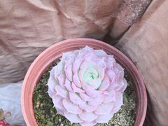 -三福(骡马市步行街店)