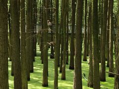 -青山湖景区