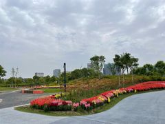-春花秋色城市公园