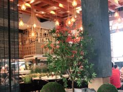 -拈菜(观音桥阳光世纪店)