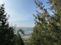 -象山森林公园
