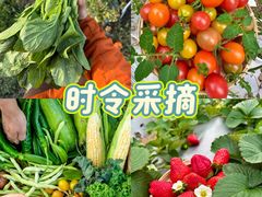 -栖露营camping·天幕烧烤·团建拓展·采摘营地