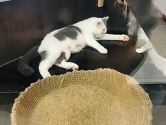-弓舍射箭俱乐部(高新总店)