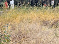 -森林公园(尖草坪区)