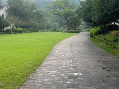 -杭州雅谷泉山庄酒店-餐厅