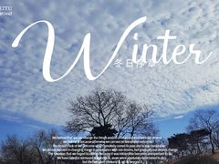 -北京西山国家森林公园