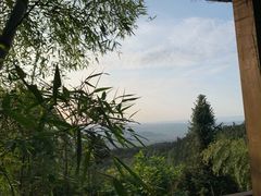 -铁山坪森林公园