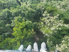-富斯特索道