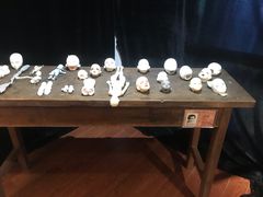 -【朵云轩艺术中心】博洛尼亚插画展·中国巡展·上海站