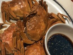 -杨氏青龙虾·羊蝎子(金盛路总店)