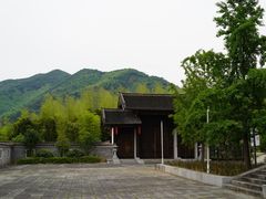 -大唐贡茶院