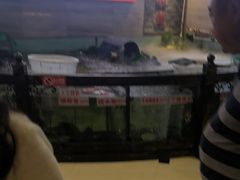 -楚鱼王·河鲜·湖北菜(华农店)