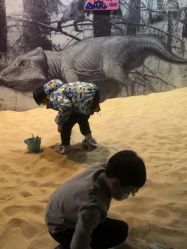 -恐龙探索乐园(磁器口店)