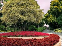 -深圳国际园林花卉博览园