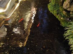 -夜宴江景餐厅