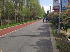 -上海长兴岛郊野公园