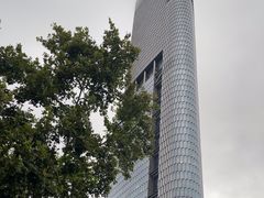 -紫峰大厦