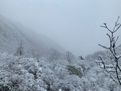 -黄龙山原始森林景区