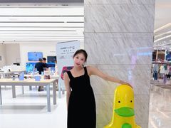-远洋未来汇