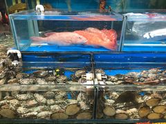 -岳各庄批发市场(西四环中路店)