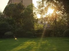 -枫香湖儿童公园