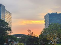 -深圳国际会展中心希尔顿酒店(前海华发冰雪世界店)