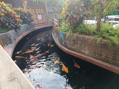 -侠成水上农庄(工业大道店)