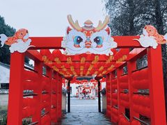 -同里国家湿地公园