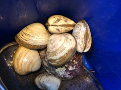 -同乐酒楼(皇后镇店)