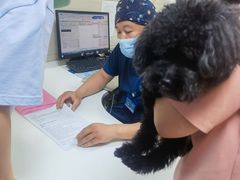 -北京观赏动物医院·24小时大型综合·猫专科·异宠专科