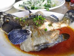 清蒸石斑鱼-明记海鲜大排档(巽寮湾店)