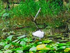 -贵阳市花溪国家城市湿地公园