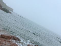 -青岛海景花园大酒店