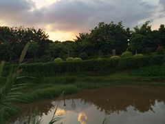 -立新湖公园