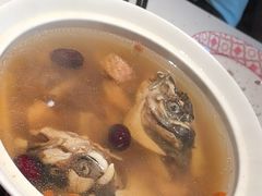 -谭厨中山传家菜.乳鸽.脆鲩鱼(华强北中航城店)