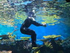 -华夏文旅海洋公园