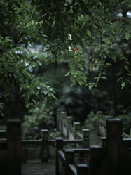 -八角古风摄影