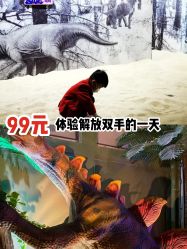 -恐龙探索乐园(磁器口店)