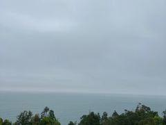 -广东惠东海龟国家级自然保护区