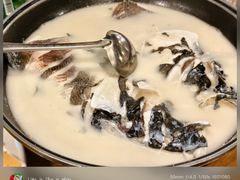 鱼头汤-丰乐餐厅·始于1999·本地老字号