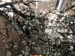 -梅花境(万科店)