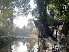 -老桂湖公园-杨升庵博物馆