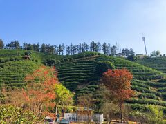 -心无尘茶餐馆(径山村店)