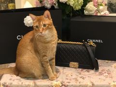 -CHANEL(恒隆广场店)