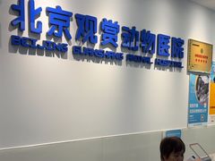 -北京观赏动物医院·24小时大型综合·猫专科·异宠专科