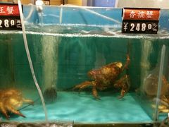 -金鹰超市(国际购物中心新街口店)