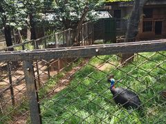 -昆明动物园